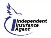 link to iiav website