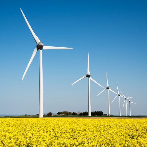 Wind Turbine in a Field