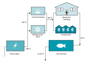 Geothermal Flow